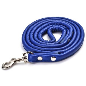 Wasserdichter Collier Pour Chien Langlebiger Corde Pour Chien Longe Chien Etanche - Product Image 3
