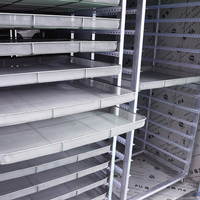 Salle de séchage avec contrôle de la température et de l'humidité Déshydrateur industriel d'aliments et de fruits Séchoir à plateau de champignons