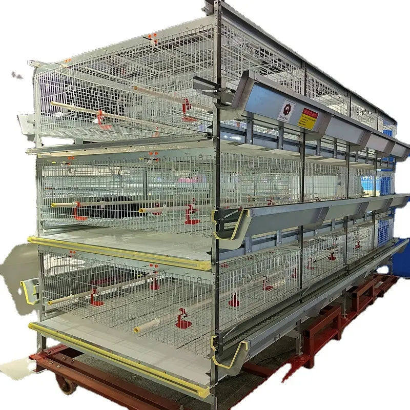 Design Chicken Coop H Type Broiler Cages Feeder Battery Cage System Egg Hen Meat Layer Breeding Poultry Farm Equipment