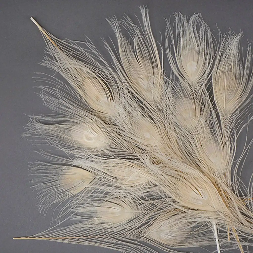 Atacado olhos de cauda de pavão com penas de pavão branco natural tingidas para brincos florais artesanato decoração de festa em casa