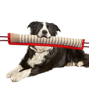 कुत्ते का प्रशिक्षण विरोधी कपड़े काटने छड़ी कुत्ते के काटने से मोलर पालतू जानवर बड़ा जर्मन चरवाहा लक्ष्य प्रशिक्षण - Product Image 2