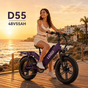 D55 Large Capacity <b>Electric</b> Delivery Bike 48V 55Ah Battery 240km Range <b>Electric</b> City Bike for High Mileage Sport Rider - Product Image 1