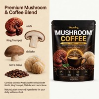 Poudre de café aux champignons bien-être en gros avec marque privée – Mélange énergétique et supplément