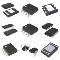 Circuits intégrés spécialisés HCS101-I/P