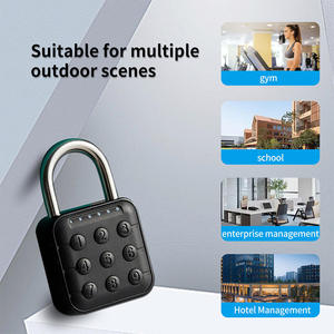 <span class=keywords><strong>Candado</strong></span> Digital Inteligente Mini Portátil Electrónico a Prueba de Agua IP67 con Recarga USB - Product Image 5
