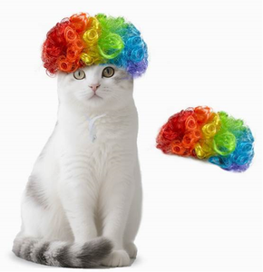 Perruque pour animaux de compagnie, fournitures pour chiens, accessoires pour animaux, cheveux bouclés, cheveux raides, perruque pour chat - Product Image 3