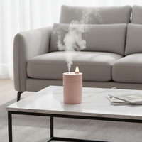 Humidificateurs d'air USB, diffuseur de brume mignon, petit, ultrasonique, portable, pour la maison, atomisation fraîche, bureau, chambre, humidificateur d'air portable H2O