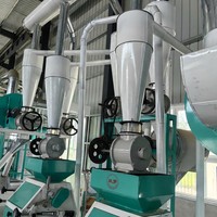 Machine à moudre le grain tout-en-un, à double unité, électrique et automatique, pour la séparation des cœurs de grains et la production de farine
