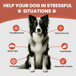 بسعر الجملة علامة تجارية خاصة عضوي مهدئ ناعم يمضغ الرعاية الصحية الكلب والقط يعامل الاسترخاء ملحق القلق والإجهاد - Product Image 3