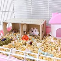 Petits animaux en bois 2 chambres cachette-Tunnel multi-chambre explorant jouet cachant labyrinthe Tunnel plate-forme Cage accessoires Portable