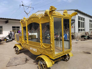 Véhicule funéraire sur mesure pour adultes, nouveau modèle, best-seller, prix usine, en promotion - Product Image 6