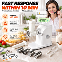 Machine à pâtes électrique portable et légère, machine à nouilles automatique, appareil de cuisine domestique, formes de pâtes multiples, OEM ODM personnalisé