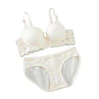 Ensemble de lingerie sexy pour fille avec dentelle froncée sur la poitrine, sans armatures, soutien-gorge sans couture respirant et culotte taille haute écologique avec logo