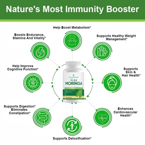 Vente chaude AegleWell troisième partie texte Capsules de <span class=keywords><strong>Moringa</strong></span> Supplément anti-âge Capsules d'extrait de feuille de <span class=keywords><strong>Moringa</strong></span> - Product Image 3