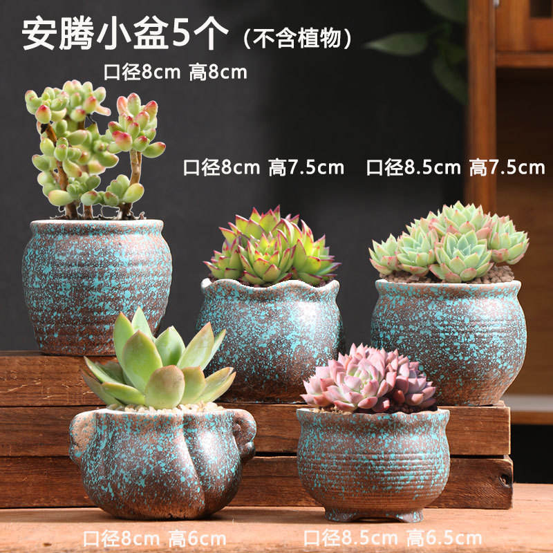 BLEU-5 morceaux de petits pots anteng