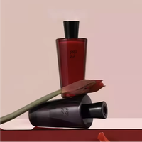 Diffuseur d'huiles essentielles en gros, flacon conique en verre de 100 ml, diffuseur d'arômes à bâtonnets avec couvercle en bois