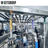 Machine de pasteurisation automatique à flash pour bière, kombucha, jus, HTST, stérilisation instantanée, ligne de transformation des aliments et des boissons