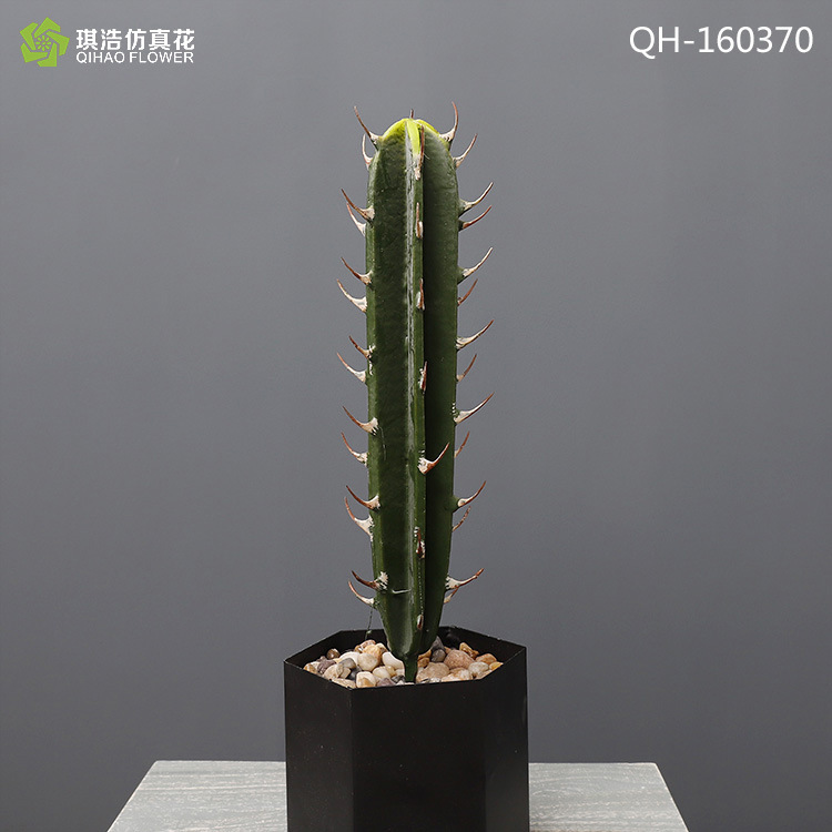 QH-160370 (without pot)