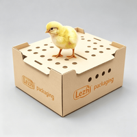 Boîte de transport pour poussins, carton de transport divisé pour oiseaux, boîte de transport pour bébés poussins, boîtes de transport