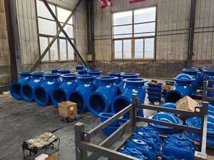 Vanne anti-retour à flange unidirectionnelle DI, type oscillant, avec joint EPDM/NBR/PTFE, sans fuite, DN150 DN250 – Offre spéciale Irak - Product Image 5