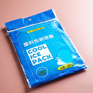Cool Ice Pack 24 Grid 10 Pcs Disposable Plastic Ice Mold For Food Preservation - Product Image 2
