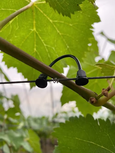 Sujetador <span class=keywords><strong>de</strong></span> injerto <span class=keywords><strong>de</strong></span> plástico duradero para plantas y vegetales, herramienta <span class=keywords><strong>de</strong></span> mano <span class=keywords><strong>de</strong></span> jardín OEM DIY para Clip agrícola - Product Image 2