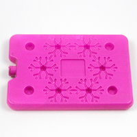 Briques de glace isothermes, durables, portables, réutilisables, personnalisées, en HDPE, classiques, imperméables, pour congélateur