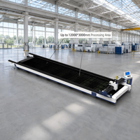 Machine de découpe laser fibre CNC 20000W avec IA pour la construction de ponts, les chantiers navals, la découpe d'acier inoxydable/d'acier au carbone, refroidissement par eau
