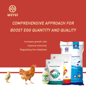 Alimento Premix para Patos y Gallinas Ponedoras, Mezcla de 1 kg, 100 kg de Alimento Completo para Aves de Corral, Proveedor de Alimentos para Animales en China - Product Image 4