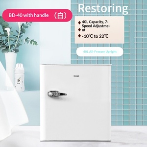 Congélateur compact Wellcome 40L pour la maison avec dégivrage automatique pour la conservation de la crème glacée et du lait maternel, garantie 36 mois - Product Image 2