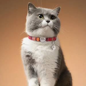 <span class=keywords><strong>Collar</strong></span> de seguridad de moda personalizado para gatos con cintas de patrón sólido campana nombre láser Etiqueta de grabado collares para mascotas - Product Image 6