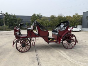 Charrette à chevaux personnalisée pour mariage, chariot de tourisme à chevaux - Product Image 2