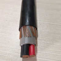 NYCY... NYCWY... NAYCWY 0,6/1 kV 2x16 + 16mm2 Al o Cu/XLPE/PVC dividir concéntricos conductor de Cable de alimentación