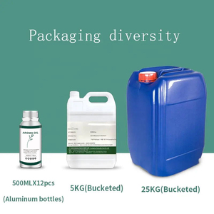 공장 직접 휴일 크라운 호텔 아로마 디퓨저 기계 - Product Image 4