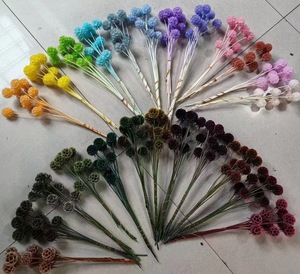 Bouquet de gousses de Scabiosa naturelles préservées de haute qualité, gousses florales séchées en forme de roue à pin pour la décoration de vases domestiques, vente en gros - Product Image 1