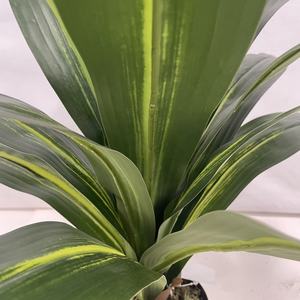 Dracaena Fragrans Bonsái Artificial Tropical con Certificación UV para Interiores/Exteriores, Decoración de Oficina en Maceta, por Proveedor de Fábrica - Product Image 4