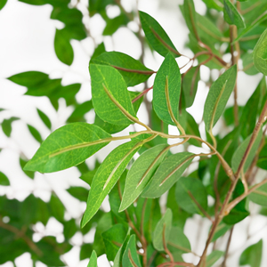 Buen <span class=keywords><strong>precio</strong></span> 165cm <span class=keywords><strong>Ficus</strong></span> Tree Artificial <span class=keywords><strong>Ficus</strong></span> Tree Planta verde artificial con maceta Faux <span class=keywords><strong>Bonsai</strong></span> Tree para Decoración - Product Image 4