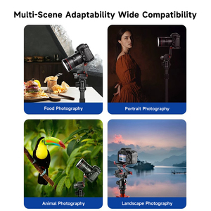 /<span class=keywords><strong>Nuer</strong></span> GM-Z PRO montage de caméra d'action en alliage d'aluminium pliage rapide cardan de type Z voiture de rail de glissière panoramique à 360 degrés - Product Image 6