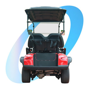 Carrito de Golf para Todo Clima con Cerramiento Completo, Calefacción y Limpiaparabrisas - Product Image 5