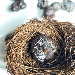 Fósil Natural de Piedra de Profecía, Heces de <span class=keywords><strong>Dinosaurio</strong></span> Fossilizadas, Espécimen para Decoración de Habitaciones - Product Image 4