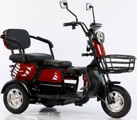 Triciclos eléctricos abiertos de 800W, nuevo Triciclo de carga grande de 3 ruedas de China, carrito expendedor eléctrico, triciclo de carga, trimotos eléctricos