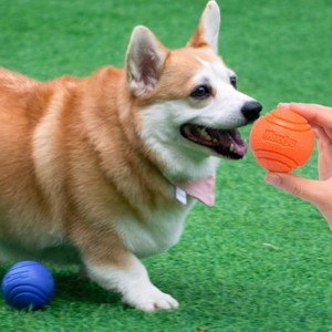 Resistente TPR palla da masticare per cani masticatori aggressivi solido rimbalzo giocattolo per allenamento all'aperto e gioco interattivo - Product Image 1