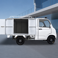 Mini-camion électrique personnalisé, véhicule utilitaire léger à énergie nouvelle, véhicule commercial électrique, voiture électrique