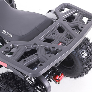 Quad Tao Motor 2026, nouveau, pas cher, pour la ferme, automatique, transmission par chaîne, pour enfants, 110cc - Product Image 5