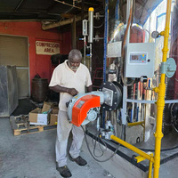 Promotion : Générateur de vapeur à gaz vertical LHS 2000 kg, alimentation automatique, économe en énergie, faible coût pour l'industrie du repassage