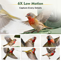 Caméra solaire intelligente pour mangeoire à oiseaux, identification automatique des espèces d'oiseaux par IA, vision en direct Wi-Fi, audio bidirectionnel, caméra d'observation des oiseaux étanche IP66