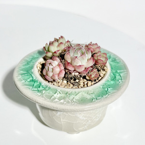 Pot <span class=keywords><strong>de</strong></span> fleurs en céramique pour plantes succulentes – Offre spéciale liquidation – Design minimaliste glacé effet craquelé – Respirant, résistant à la corrosion, durable - Product Image 5