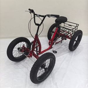 <span class=keywords><strong>Bicicletta</strong></span> Fuoristrada a Quattro <span class=keywords><strong>Ruote</strong></span> con Pneumatici Larghi, Telaio in Acciaio, Forcella in Alluminio, Freni a Disco, <span class=keywords><strong>Ruote</strong></span> da 20 Pollici, Senza Cambio - Product Image 2