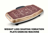 Plateforme de fitness vibrante pour exercices, machine de drainage lymphatique, secoueur corporel vibrant