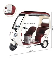 Scooter électrique tricycle fermé haut de gamme 1000W avec passagers, fabriqué en Chine